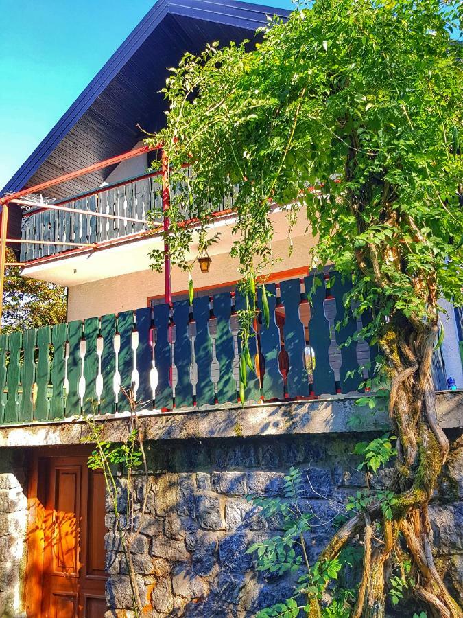 Kuca Za Odmor "Livadica" Villa Netretic Exterior photo